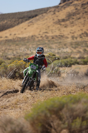 IMG_3390-94v