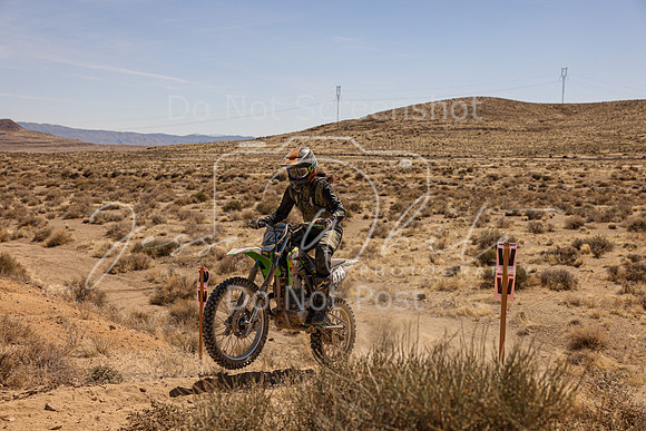 IMG_1187-478v