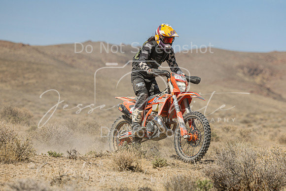 IMG_8185-75n