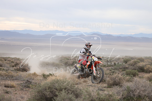 IMG_7443-51a