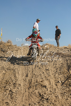 IMG_0390-721y