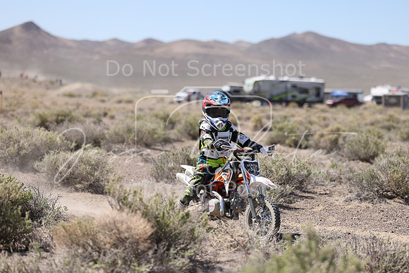 IMG_2338-333