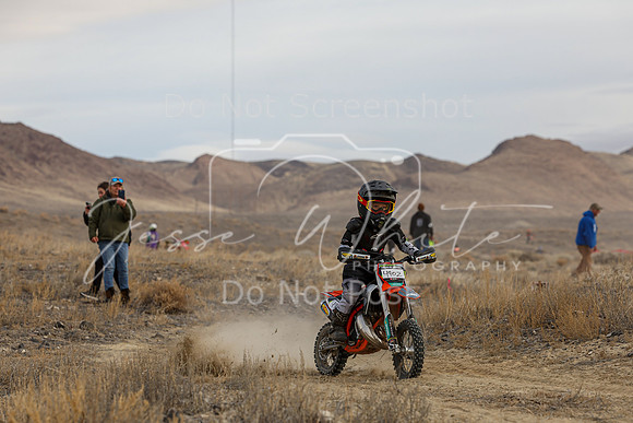 IMG_9797-490z