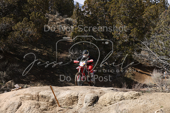 IMG_9101-nt111