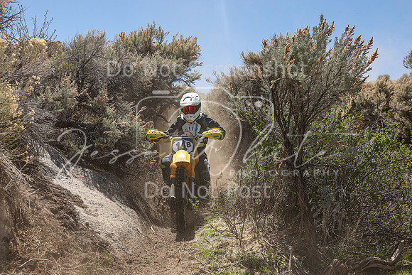 IMG_0208-14b