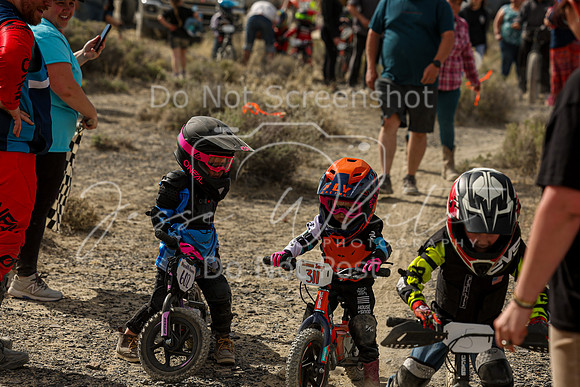 IMG_0739-