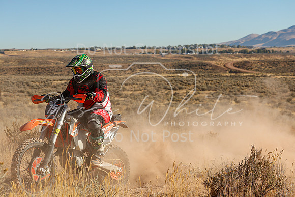 IMG_6005-75t