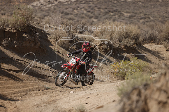 IMG_7229-775v