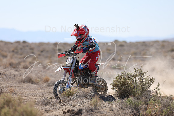 IMG_2184-104z
