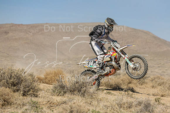 IMG_8141-14p