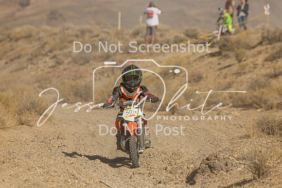 IMG_0312-501z