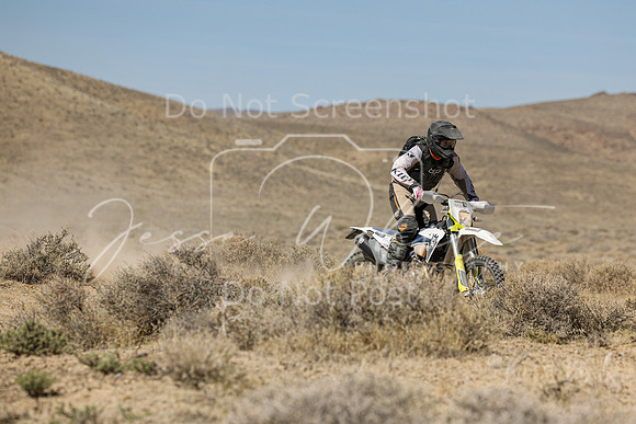 IMG_8246-954p