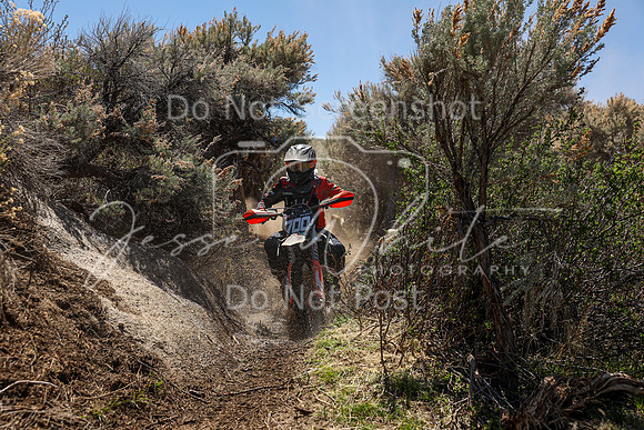 IMG_0319-700j