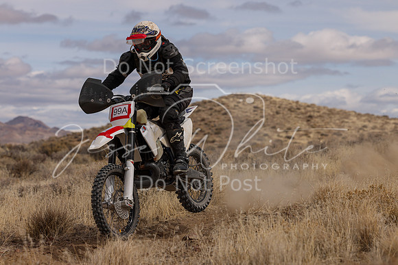 IMG_0343-99a