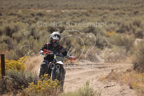 IMG_1697-n643x