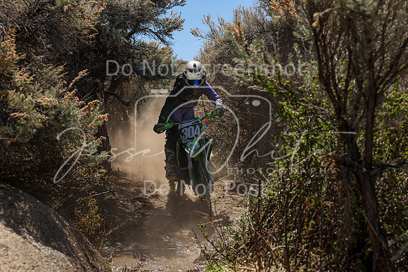 IMG_0350-304j