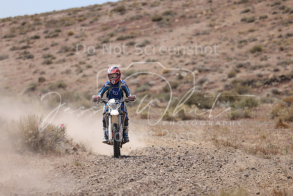 IMG_2959-902v
