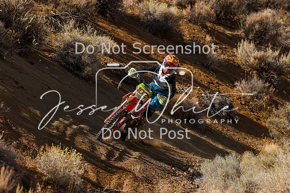 IMG_9702-102w
