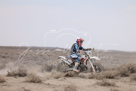 IMG_9795-902v