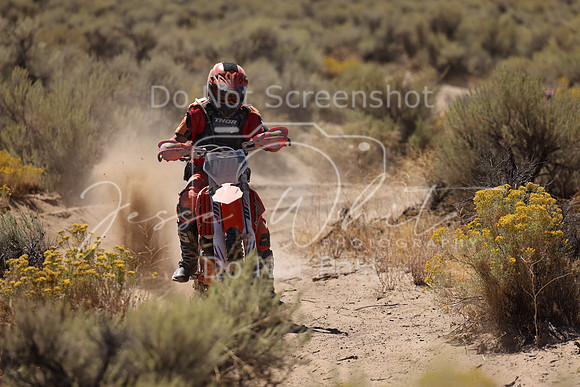 IMG_1743-n70p