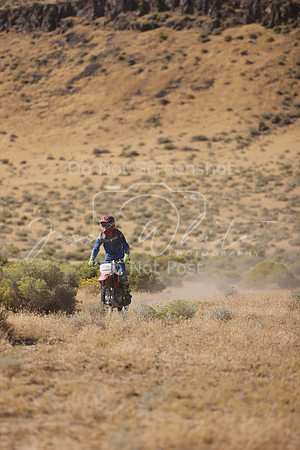 IMG_3502-474j