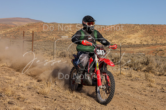 IMG_2954-387p