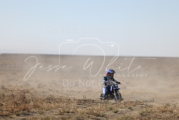 IMG_6254-208z