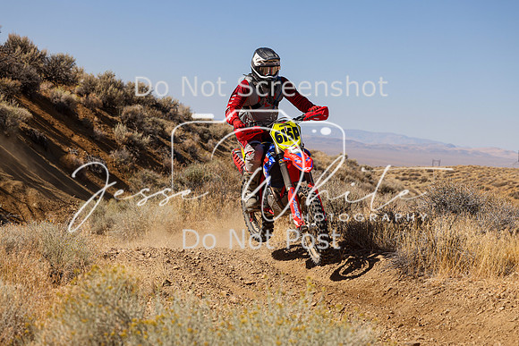 IMG_9818-615p