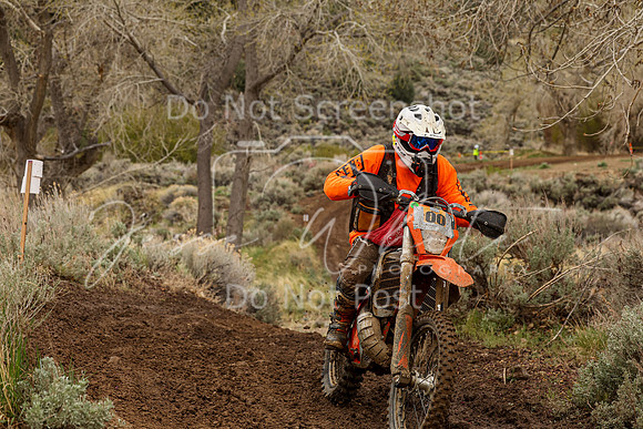 IMG_9745-00