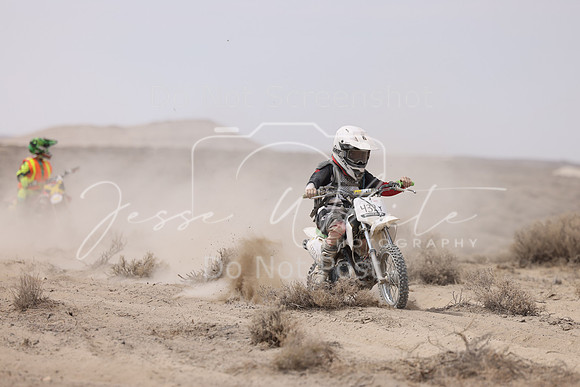 IMG_9879-432y
