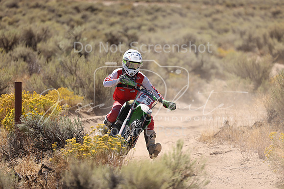 IMG_1560-nt385