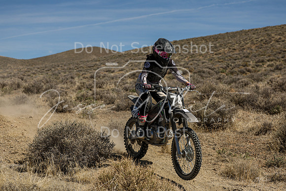 IMG_6387-74v