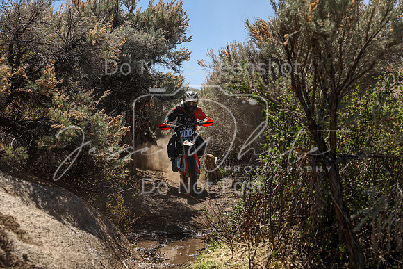 IMG_0317-700j