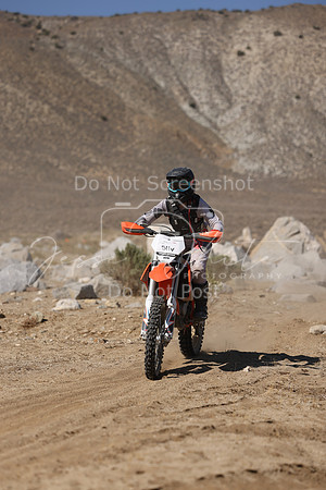 IMG_7297-511v
