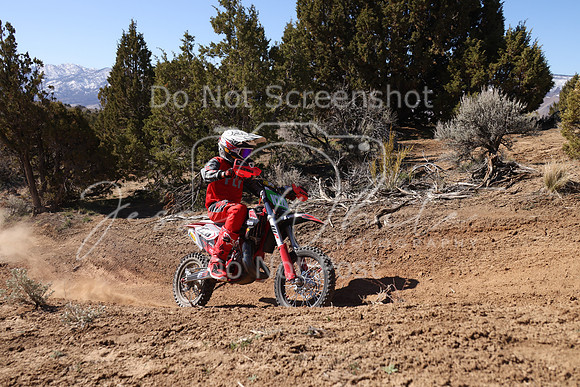 IMG_5867-n226k