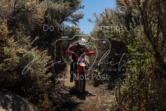 IMG_0546-5j