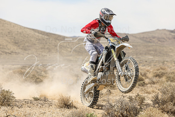 IMG_9014-2t