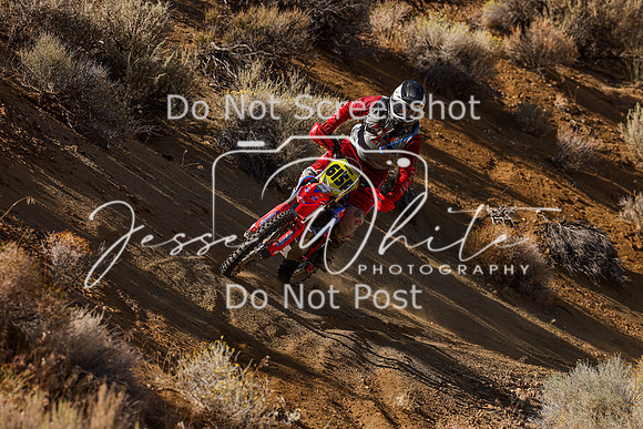 IMG_9814-615p
