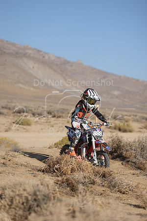 IMG_6265-888y