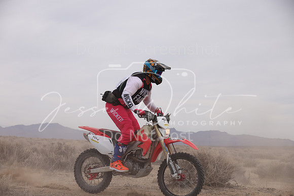 IMG_1007-744n