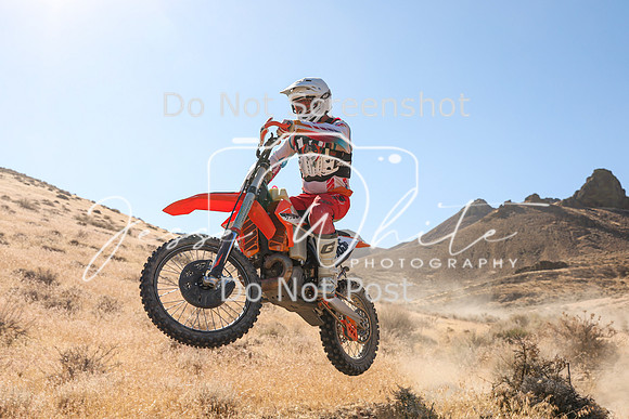 IMG_9380-565p