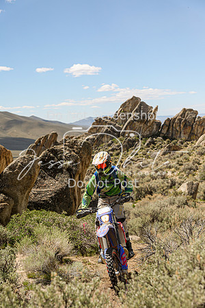 IMG_9304-314p