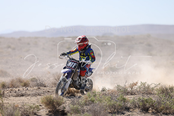 IMG_2201-411y