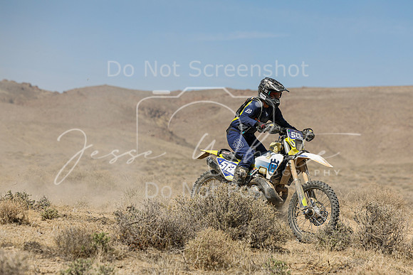 IMG_8269-513w