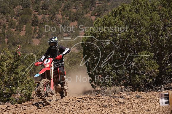 IMG_5344-t2