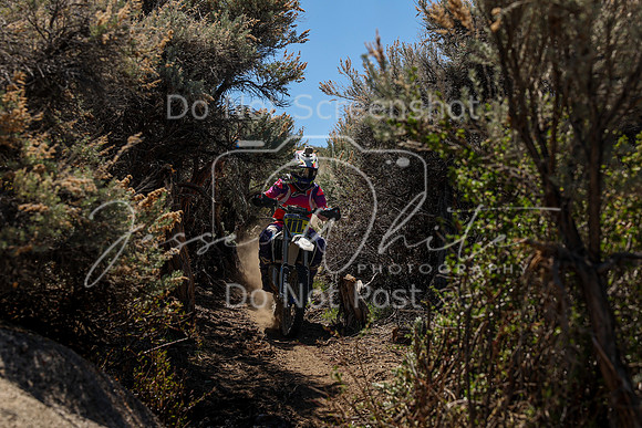 IMG_0260-111j