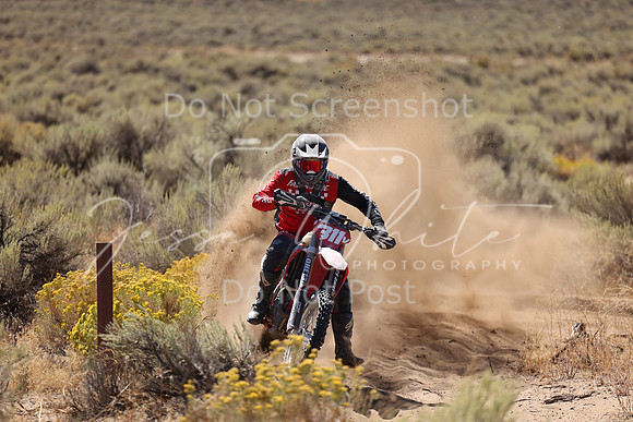 IMG_1402-311v
