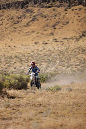 IMG_3464-902v