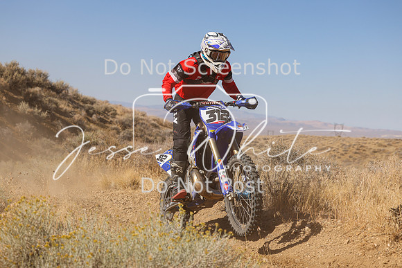 IMG_9489-312x