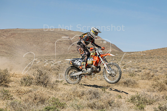 IMG_8304-324p